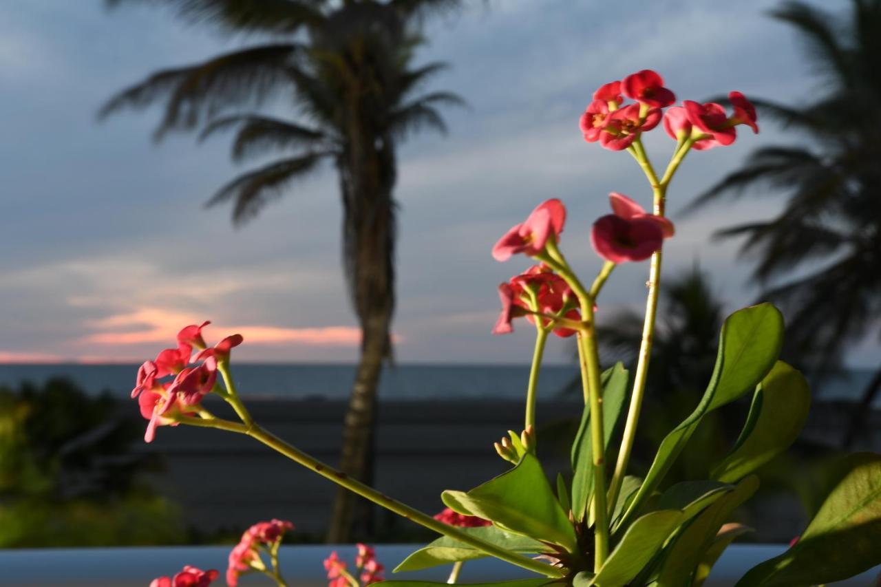Hermoso Apartamento: Beachfront Comfort with Direct Access Cartagena Exterior photo